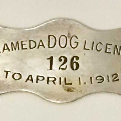 Dog License 126, 1912