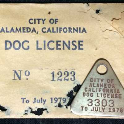 Pyramid shaped brass dog license #3303 and envelope, 1978-1979