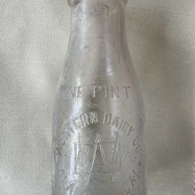 Western Dairy Co. Milk Bottle from the Alameda Dump, Ca. 1920