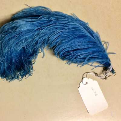 Cobalt Blue Ostrich Plume of the Haslett family, early 1900s