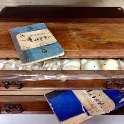 Egg collection in eastlake style box with reference booklet, c. 1880s