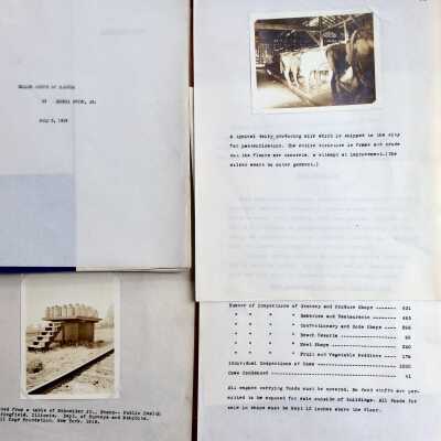 Health Survey Report by Zdenka Buben, 1918