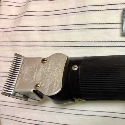 Oster Electric Hair clipper with black pastic handle, cord and plug, 1930s