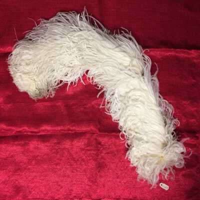 White Ostrich Hat plume, early 1900s