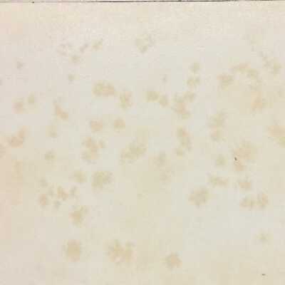 Spots