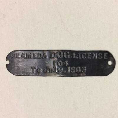 Alameda Dog License tag 104, 1903