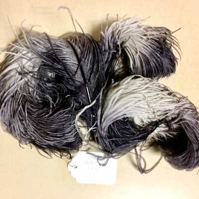 Curled Ostrich Feathers in shades of white, early 1900s