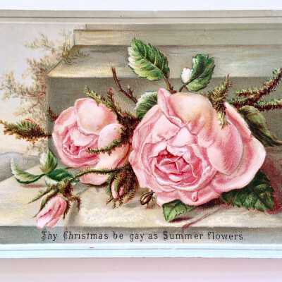 Greeting Card with pink roses sent to Theodore Eisfeldt, c. 1883