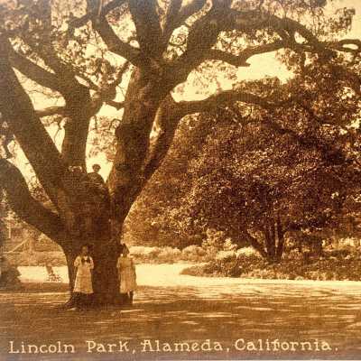Postcard depicting children at Play, Lincoln Park, c. early 1900s