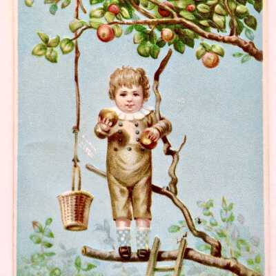 Greeting card depicting a child picking apples, 1882