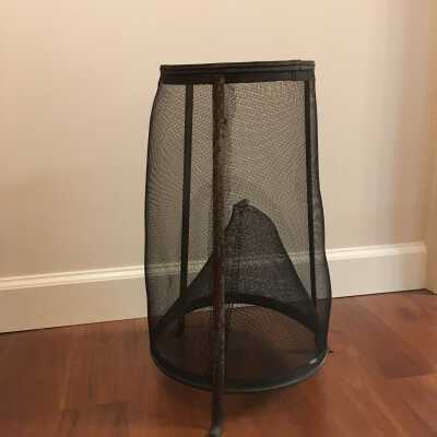 Harper's Fly Trap, Ca. 1901