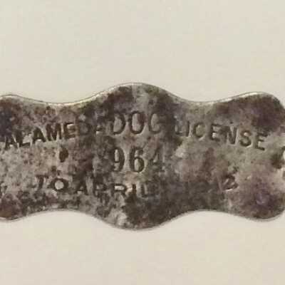 Dog License #964, 1912