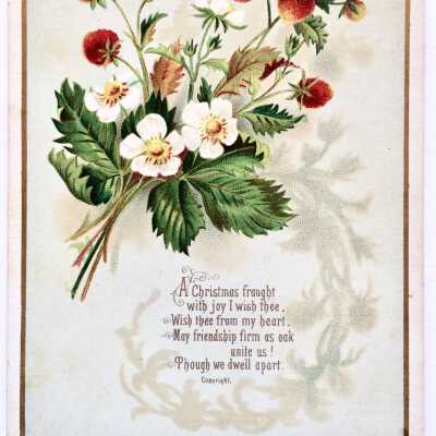 Christmas Card depicting Strawberries, c. 1880s