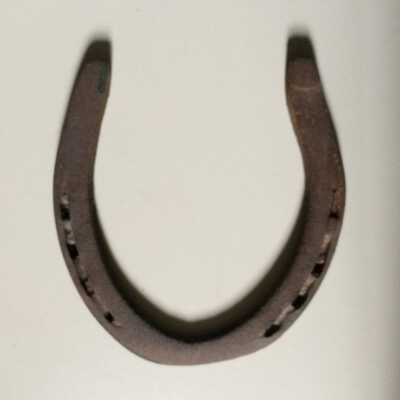 Herbert Clark's Daisy's Horseshoe, before 1900