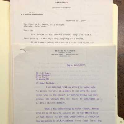Folder with document relating to Tree Maintenance, 1920-1921