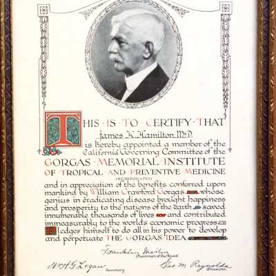 Certificate appointing James K. Hamilton M.D. to Gorgas Memorial Institute, c. 1920s