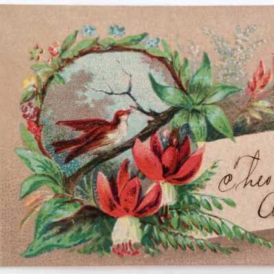 Calling card of Theodore Eisfeldt, depicting bit with fuchsias, 1880