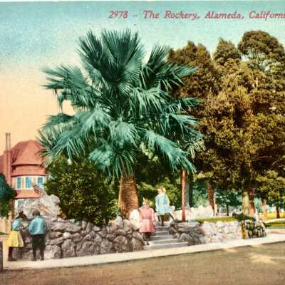 Postcard of the Rockery, c. 1909-1910