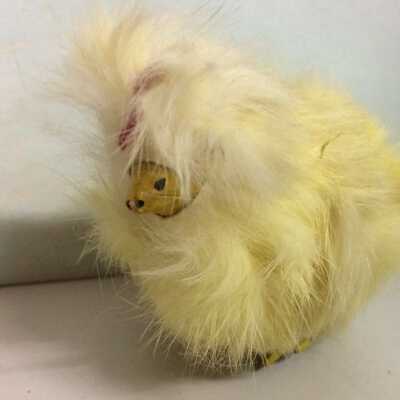 Easter chick covered in rabbit fur, c. 1912