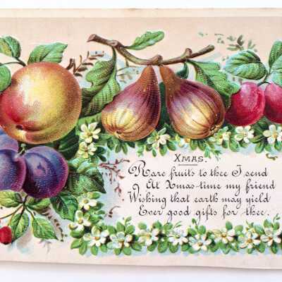 Christmas Card depicting fruit, c. 1880s