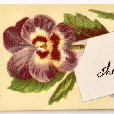 Calling Card of Theodore Eisfeldt, 1880