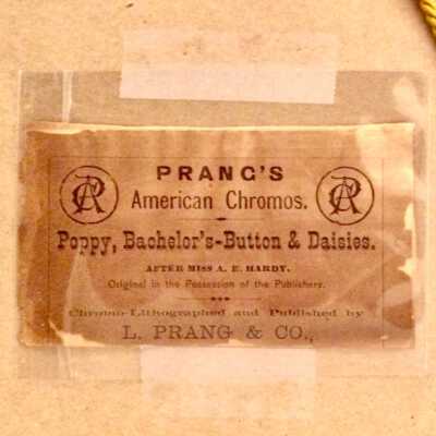 B back detail: PRANG'S 
 American Chromos. 
Poppy, Bachelor's-Button & Daisies.
AFTER MISS A. E. HARDY. 
Original in the Possession of the Publishers.
Chromo-Lithographed and Published by
L. PRANG & Co.,
