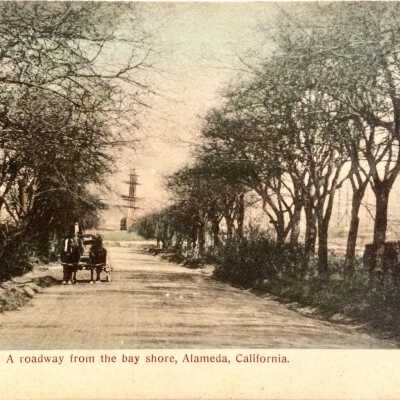 Postcard of a roadway leading from the bay shore, c. 1900s
