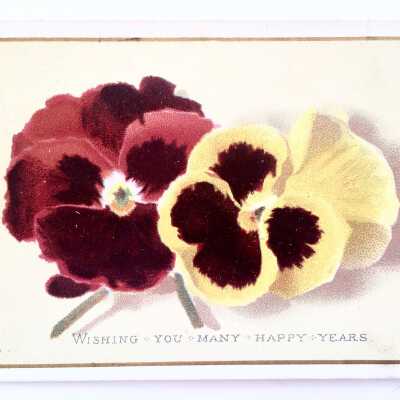 Greeting card depicting pansies, c. 1880s