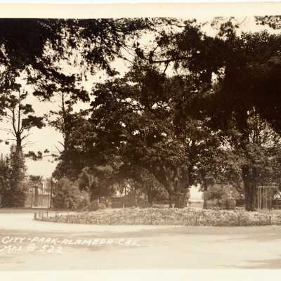 Postcard depicting a circular flower bed at Lincoln Park, c. early 1900s
