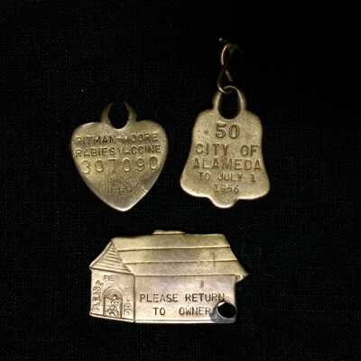 Dog tags for Butter (1952-1960), the Durein family dog, 1955-1956