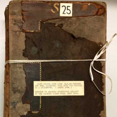 Ledger Book of the M. W. McChesney & Son, Tanners, used as Scrapbook, c. 1890s