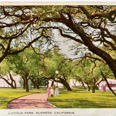 Photo-lithographic postcard of Lincoln Park, c. 1920s