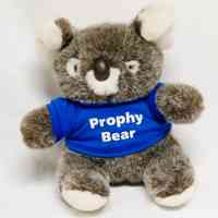 Prophy Bear - Image 3