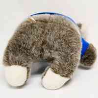 Prophy Bear - Image 5