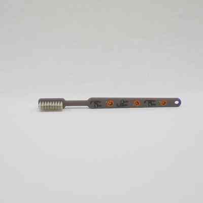 Halloween Toothbrush