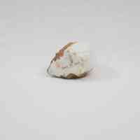 Devil's Head Toothpick Holder. - Image 3