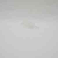 Animal Leg Toothbrush Cover - Image 4
