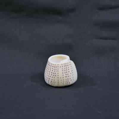 Natural White and Brown Spotted Shell Toothpick Holder