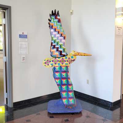 Patchwork Pelican, The