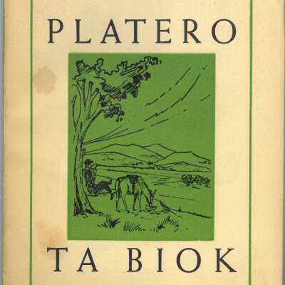 Platero ta Biok : illots Andaluzitarra