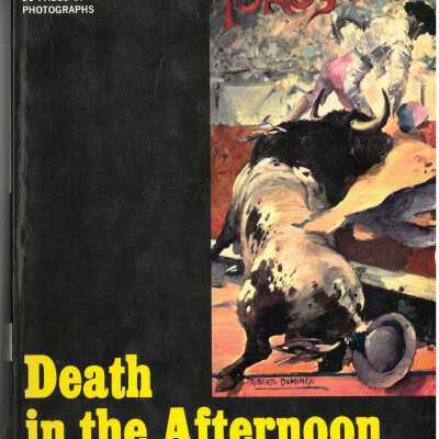 Death in the Afternoon