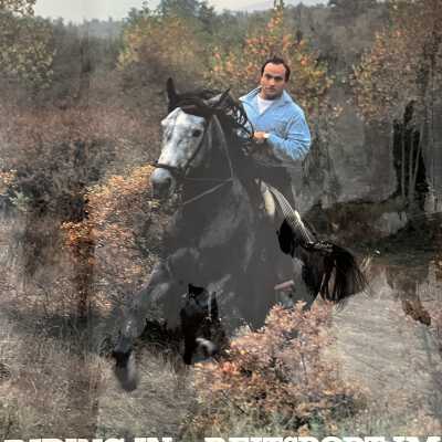 Riding In - Reitsport Im Euskadi