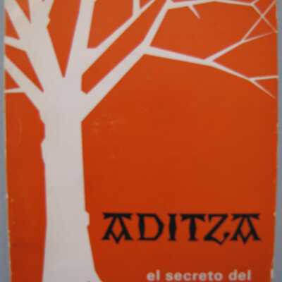 Aditza: el secreto del verbo vasco [Verb: the secrets of the Basque verb]
