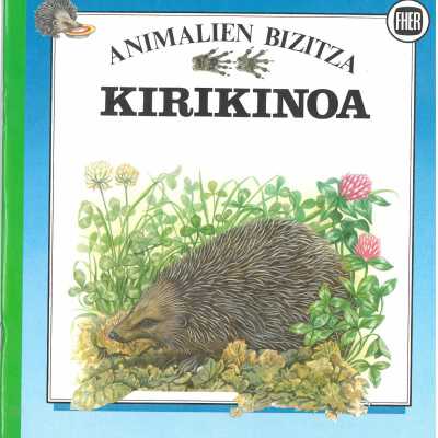 Kirikinoa