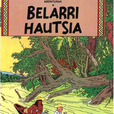 Belarri hautsia