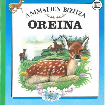 Oreina
