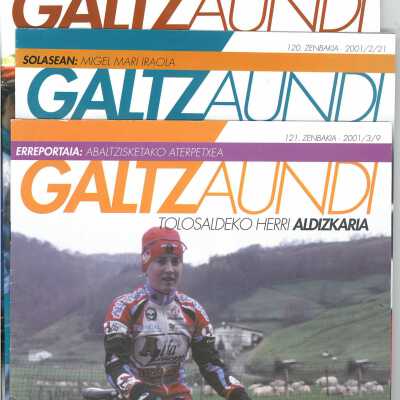 Galtzaundi : Tolosaldeko aldizkaria