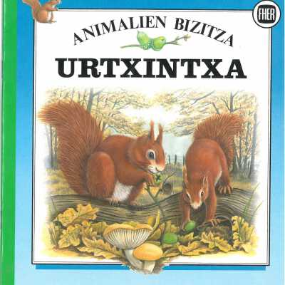 Urtxintxa