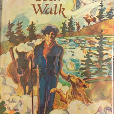Year walk