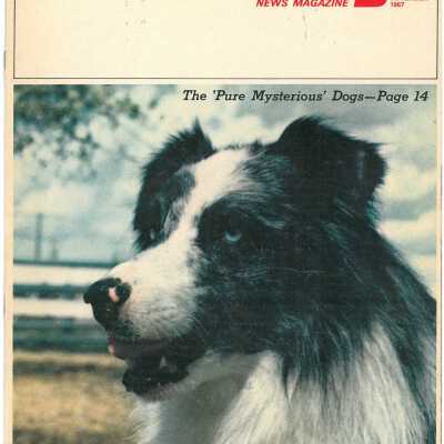 Dodge News Magazine